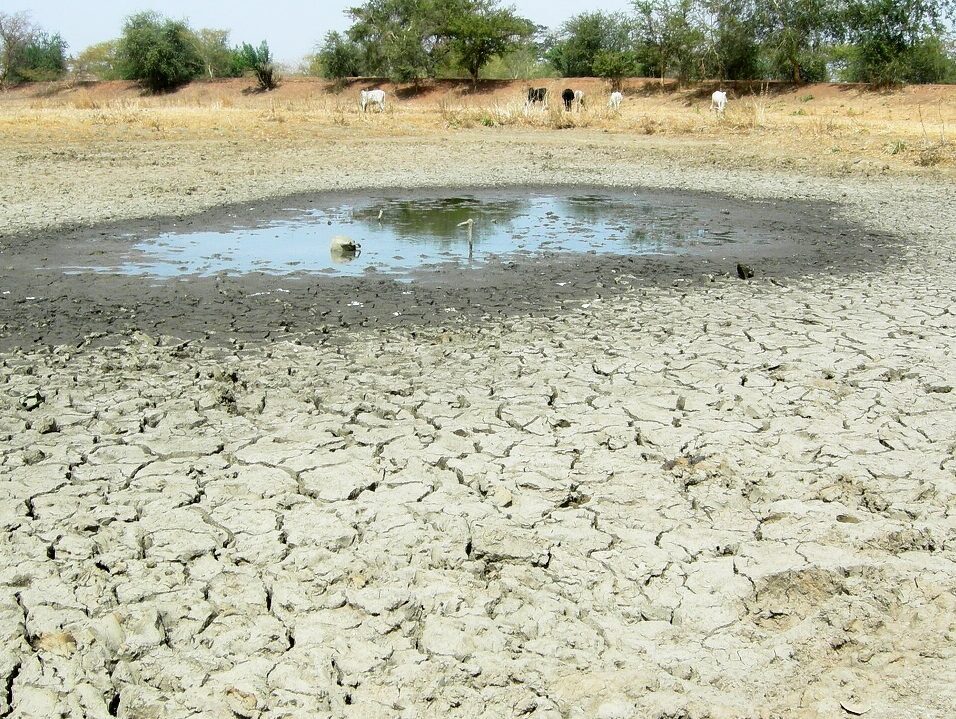 Dry pond in Burkina Faso