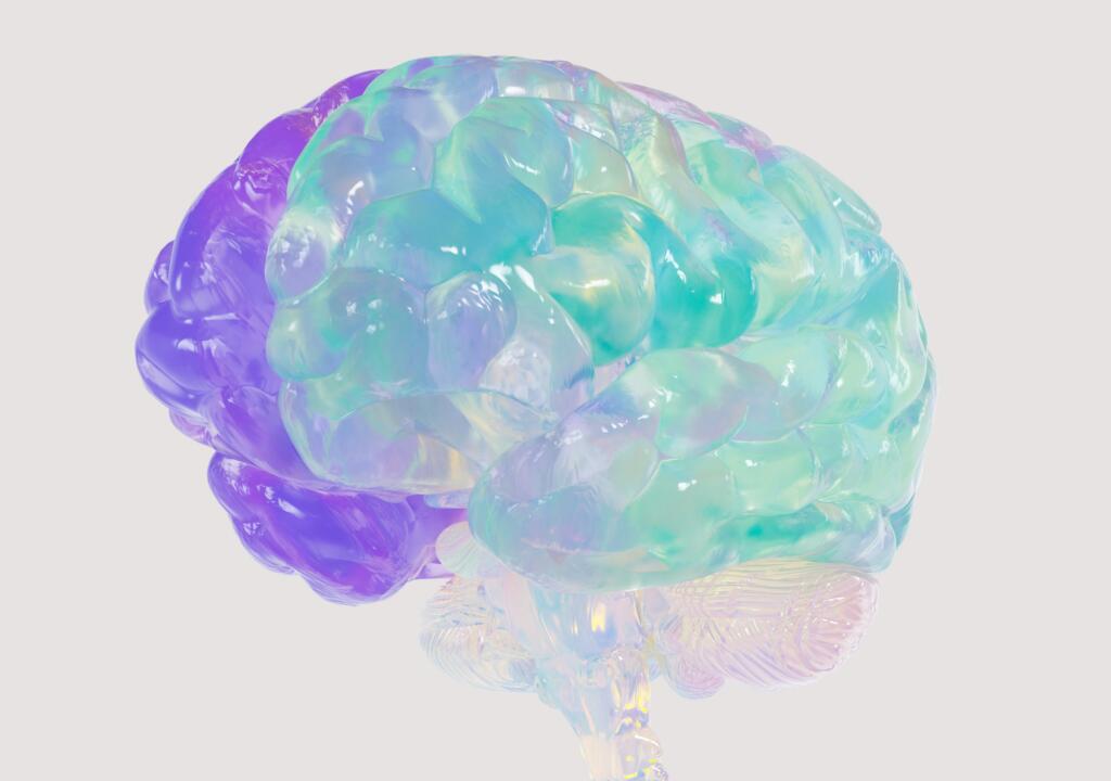 Brain made of plastic. 
Hersenen van plastic.