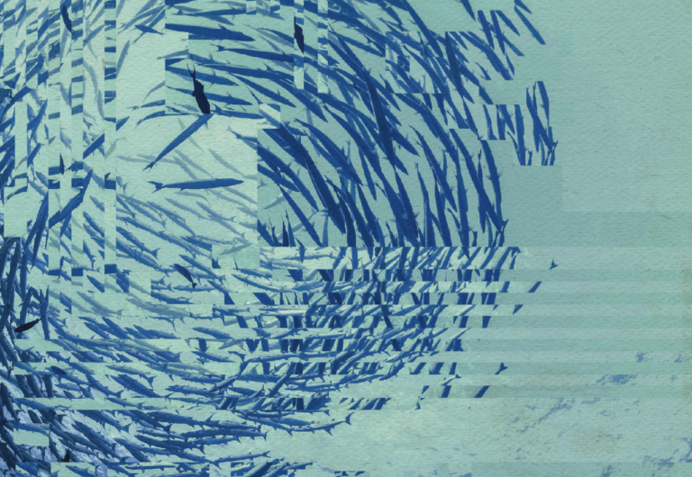 NL: Een onderwaterfoto, genomen met uitzicht op een grote cirkelvormige school vissen terwijl de zon schittert in het blauwe water. De afbeelding is echter enigszins vervormd door digitale artefacten.

EN: An underwater photo taken looking up to a large circular school of fish while the sun sparkles in the blue water. However, the image is slightly distorted by digital artefacts.