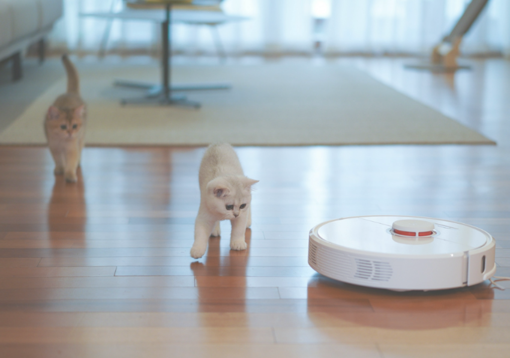 two cats and a robot stroll together on a shiny hardwood floor.