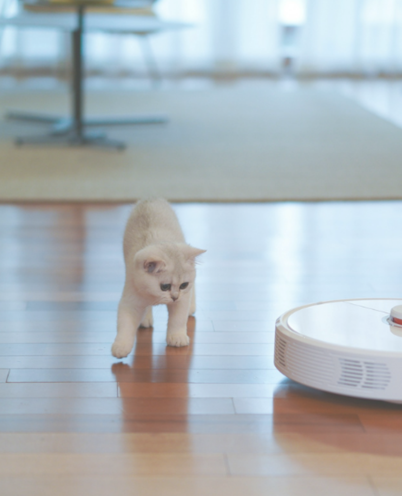 two cats and a robot stroll together on a shiny hardwood floor.